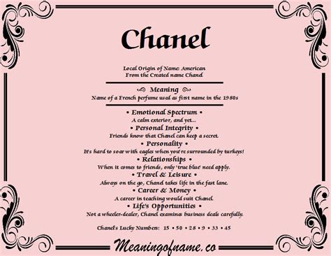 what is the meaning of chanel|chanel meaning in hindi.